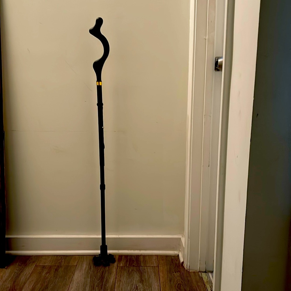 Cane